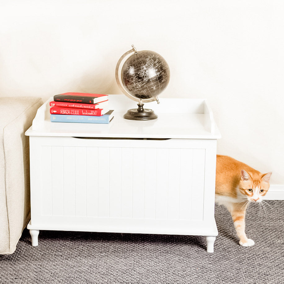 Litter Box Enclosures