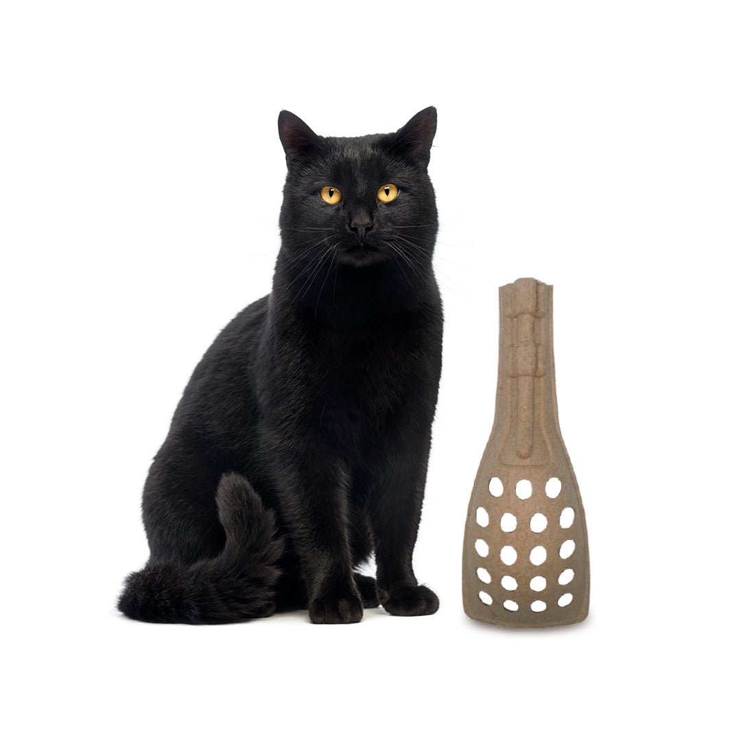 PetPro B-Handy Kitty Litter Scoop ( 5 pieces )